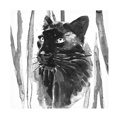 Annie Warren 'Still Cat I' Canvas Art, 35x35